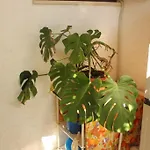 Apartamento With A Parking Space *