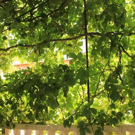 Apartment With A Parking Space Mali Lošinj