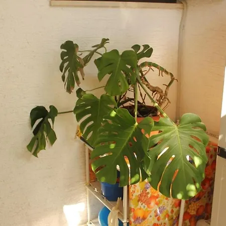 Apartment With A Parking Space *