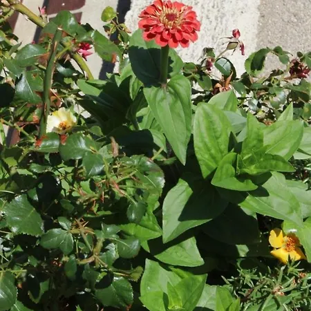 With A Parking Space