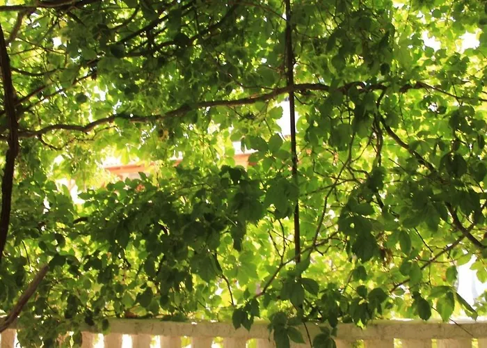 דירה With A Parking Space מאלי לוסיניי